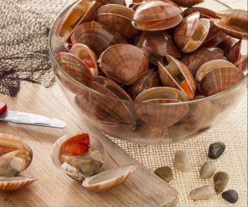 Hoe maak je venusschelpen schoon