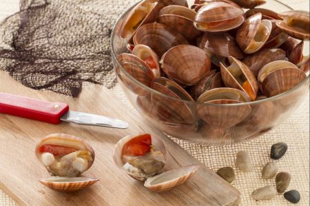 Hoe maak je venusschelpen schoon