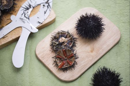 Hoe zee-egels schoon te maken