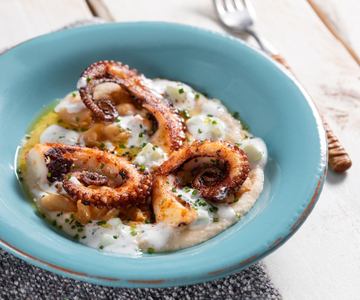 Geroosterde octopus met bonenhummus en tzatziki