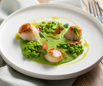 Kort aangebraden sint-jakobsschelpen op erwtencoulis